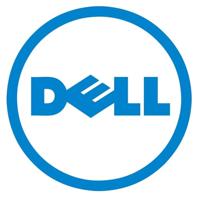 Dell BOSS S2 Cbls f T350 Cust Kit