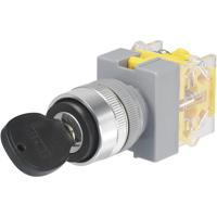 TRU COMPONENTS 704509 Y090-A-20Y/31 Sleutelschakelaar 250 V/AC 5 A 1x aan/uit/aan 2 x 45 ° IP40 1 stuk(s) - thumbnail