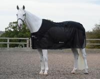 Bucas Competition Cooler