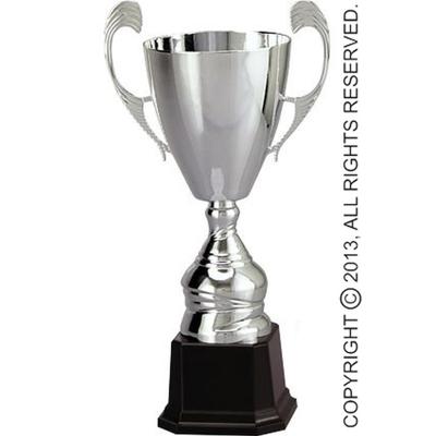 Viking Choice  Trofee - beker - zilver