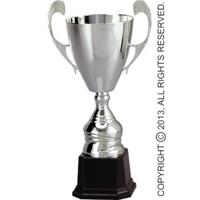 Viking Choice  Trofee - beker - zilver
