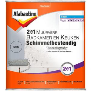 Alabastine 2-in-1 Muurverf Badkamer en Keuken Schimmelbestendig