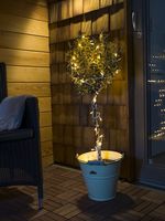 Konstsmide 3812-100 Micro-lichtketting Buiten Energielabel: G (A - G) werkt op het lichtnet Aantal lampen 120 LED Warmwit Verlichte lengte: 19.04 m - thumbnail