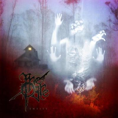 Entity - CD (0193428524132)