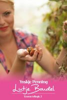 Lutje Boudel - Ynskje Penning - ebook - thumbnail