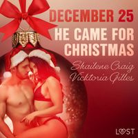 December 25: He Came for Christmas - An Erotic Christmas Calendar - thumbnail