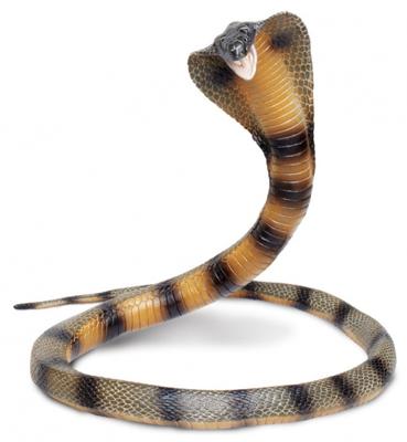 Safari speeldier Cobra koraalslang 15 cm bruin/zwart Safari speeldier Cobra koraalslang 15 cm bruin/zwart