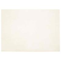 Nep Konijnenbont Tapijt Olite Wit 240 x 340 cm Polyester