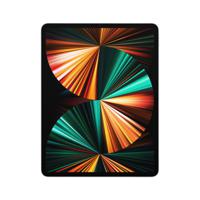 Apple iPad Pro Apple M 256 GB 32,8 cm (12.9") 8 GB Wi-Fi 6 (802.11ax) iPadOS 14 Zilver - thumbnail