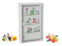 Premium Medicijnenkastje Staal Met Slot & Print  -  50 x 30 x 15 cm