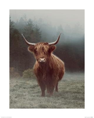 Hamish Art Print Ian Winstanley 40x50cm