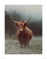 Hamish Art Print Ian Winstanley 40x50cm