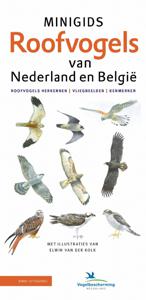 Vogelgids Minigids Roofvogels van Nederland en België | KNNV Uitgeveri