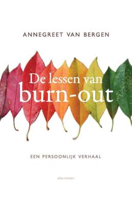 De lessen van Burn-out - Annegreet van Bergen - Paperback (9789045031668)