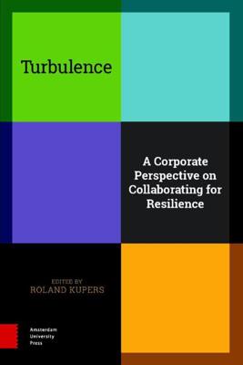 Turbulence - Roland Kupers - ebook
