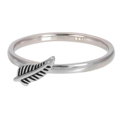 iXXXi Vulring Symbol Feather Zilver | Maat 20