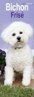 Bichon Frise Slim Calendar 2026 Dog Breed Slimline Calendar - 12 Month