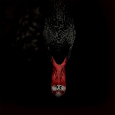 Mannerfreundschaften Und Metaphysik - CD (4024572987589)