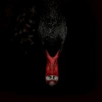 Mannerfreundschaften Und Metaphysik - CD (4024572987589)