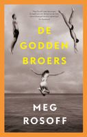 De Godden broers - Meg Rosoff - ebook - thumbnail