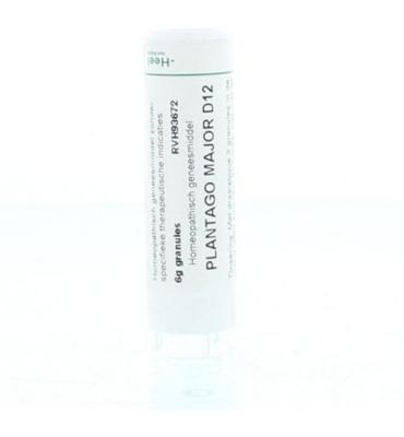 Homeoden Heel Plantago Major D12 (6g)