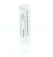 Homeoden Heel Plantago Major D12 (6g)
