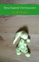 Beschaamd vertrouwen - Ria Dinnissen - Paperback (9789402139914)