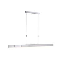 Paul Neuhaus Led hanglamp Pure-Moto geborsteld metaal 2525-95