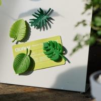 Tropische Magneten (Set Van 4)