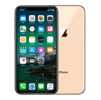 Refurbished iPhone XS Max 64 gb Goud Licht gebruikt