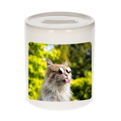 Foto gekke poes spaarpot 9 cm - Cadeau katten liefhebber - Spaarpotten Foto gekke poes spaarpot 9 cm - Cadeau katten liefhebber - Spaarpotten