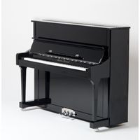 Sebastian Steinwald 121 PE zilver piano