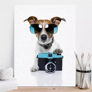 Poster - Hond met camera