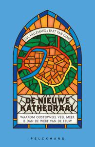 De nieuwe kathedraal - Luc Hellemans, Bart Van Camp - ebook