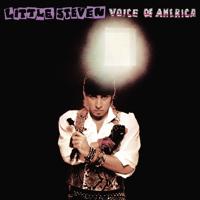 Voice Of America - LP (0602577939679)