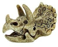 SuperFish SF Skull Triceratops aquariumdecoratie maat S 8 x 7 x 6 cm