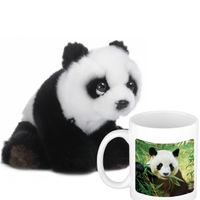 Cadeauset kind - Panda knuffel 15 cm en Drinkbeker/mol Panda 300 ml - thumbnail