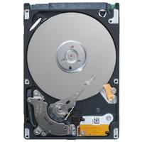 Dell 1 TB 7,2 K RPM SATA 6 Gbps 2,5 inch Hot-p