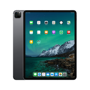 Refurbished iPad Pro 12.9 inch 2020 512 GB 4G Space Gray Zichtbaar gebruikt