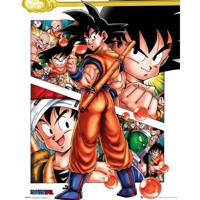 Gbeye Dragon Ball Collage Poster 40x50cm