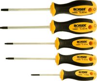 Schroevedr.set iron.torx 5-dlg