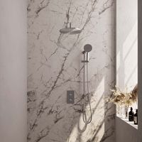 Brauer Brushed Edition complete inbouw regendouche met 3 standen handdouche, gebogen wandarm, glijstang en hoofddouche 30cm set 46 RVS geborsteld PVD
