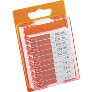 ESKA 120.0.9 12009 Buiszekering assortiment (Ø x l) 5 mm x 20 mm Snel -F- Inhoud 100 stuk(s)