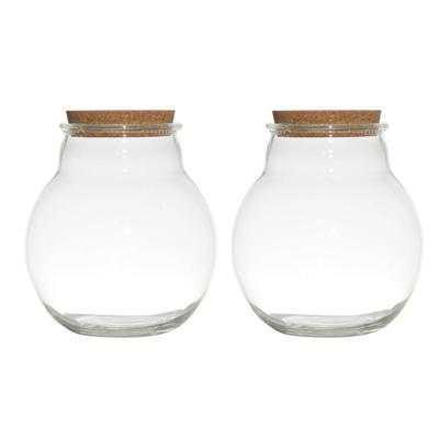 Set van 2x stuks glazen voorraadpotten/snoeppotten/terrarium vazen van 19 x 21.5 cm met kurk dop - Voorraadpot Set van 2x stuks glazen voorraadpotten/snoeppotten/terrarium vazen van 19 x 21.5 cm met kurk dop - Voorraadpot