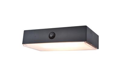 Lutec FADI 6939501330 Wandlamp op zonne-energie met bewegingsmelder LED 5 W Warmwit tot koudwit Zwart