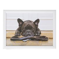 Set van 2 schootkussens/laptrays schattige Franse bulldog honden print 43 x 33 cm - thumbnail