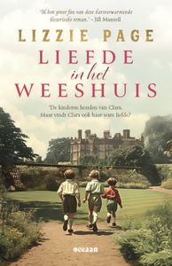 Liefde in het weeshuis - Lizzie Page - ebook