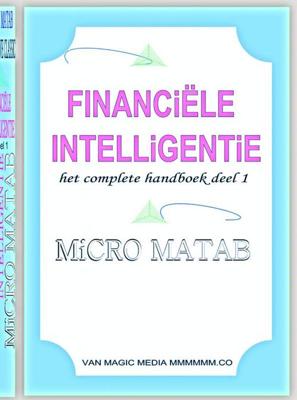 Financiele intelligentie - deel 1 - Micro Matab - ebook