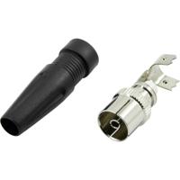 Conrad Components 1372219 Coax-koppeling Met anti-kniktule Aansluitingen: Coax-bus IEC 1 stuk(s)