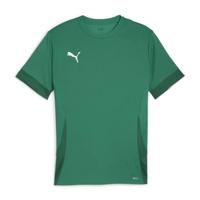 PUMA Unisex Teamgoal Matchday Jersey Voetbalshirt